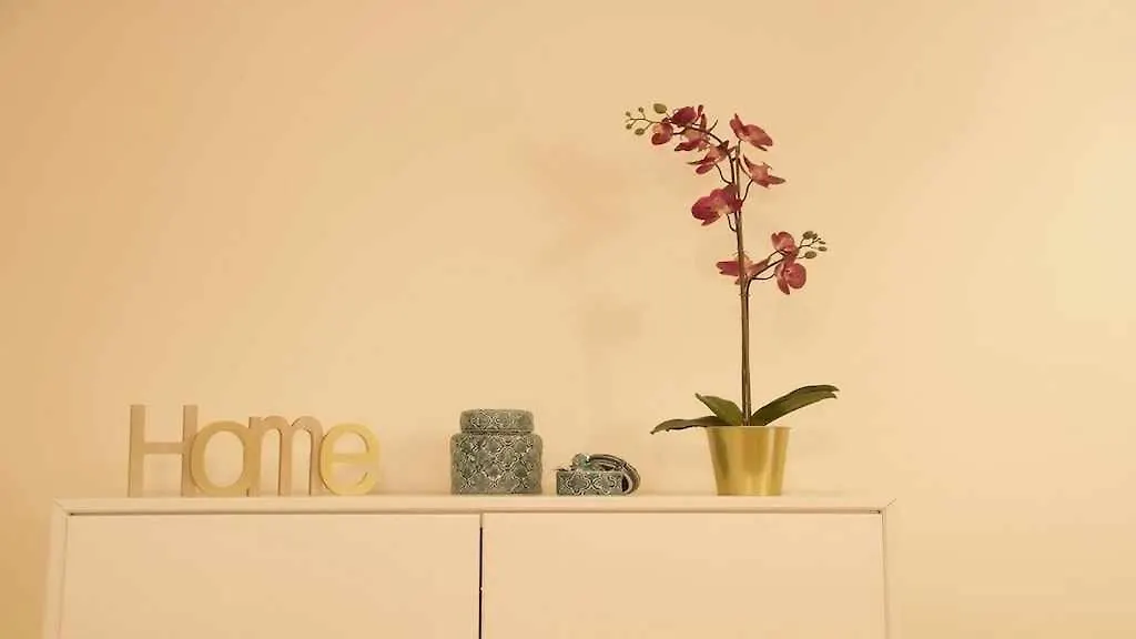 Apartamento con jardín y piscina B Puerto de la Cruz